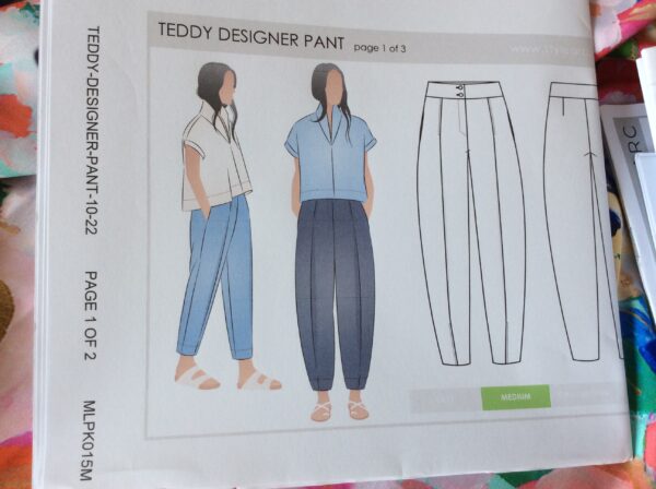 STYLE ARC TEDDY DESIGNER PANT  10-22 - Image 3
